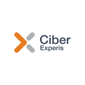 Thumb logo ciber experis hvit bg h finn